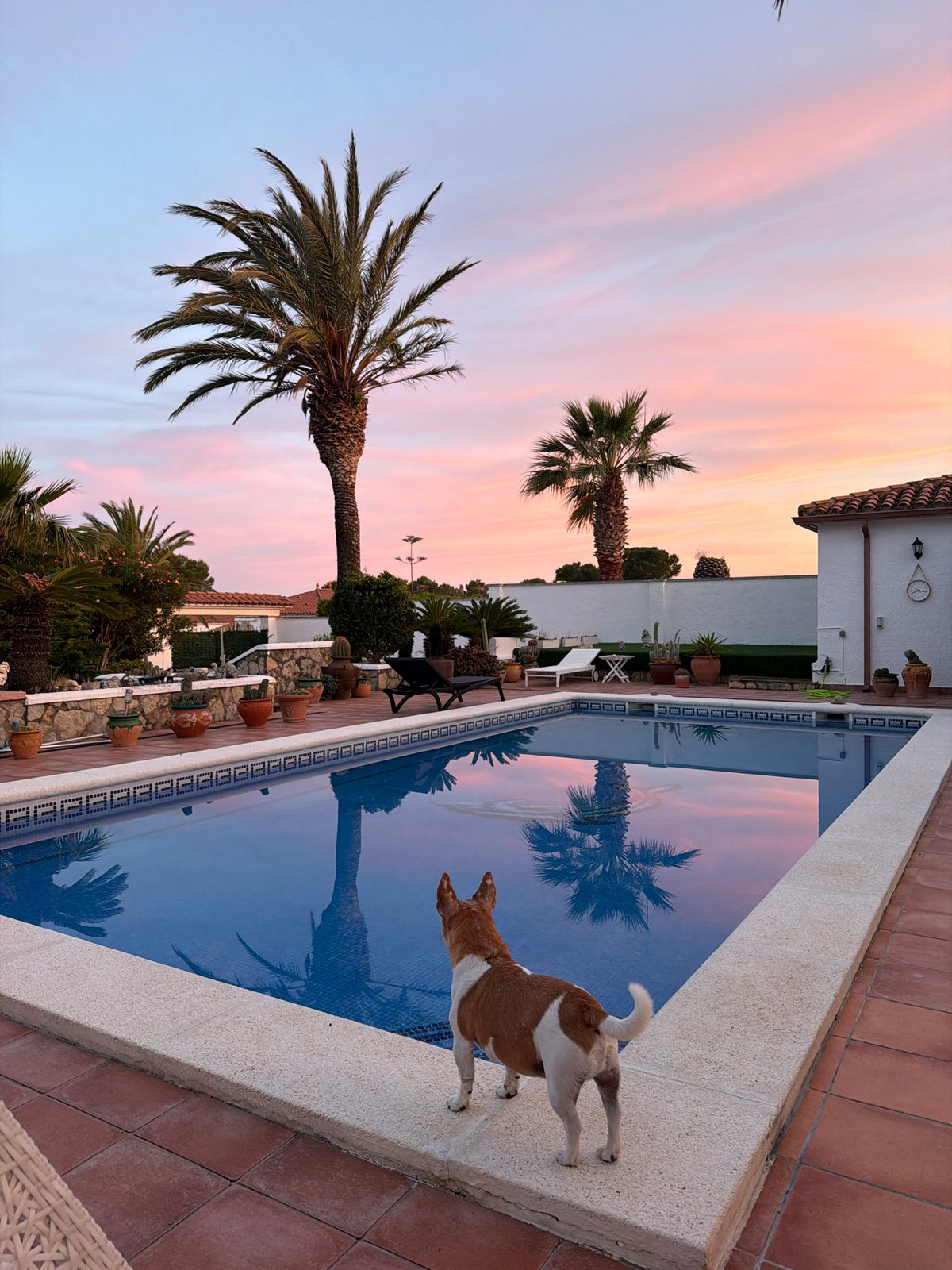 Sunset poolside moment captured in Spanish coastal town