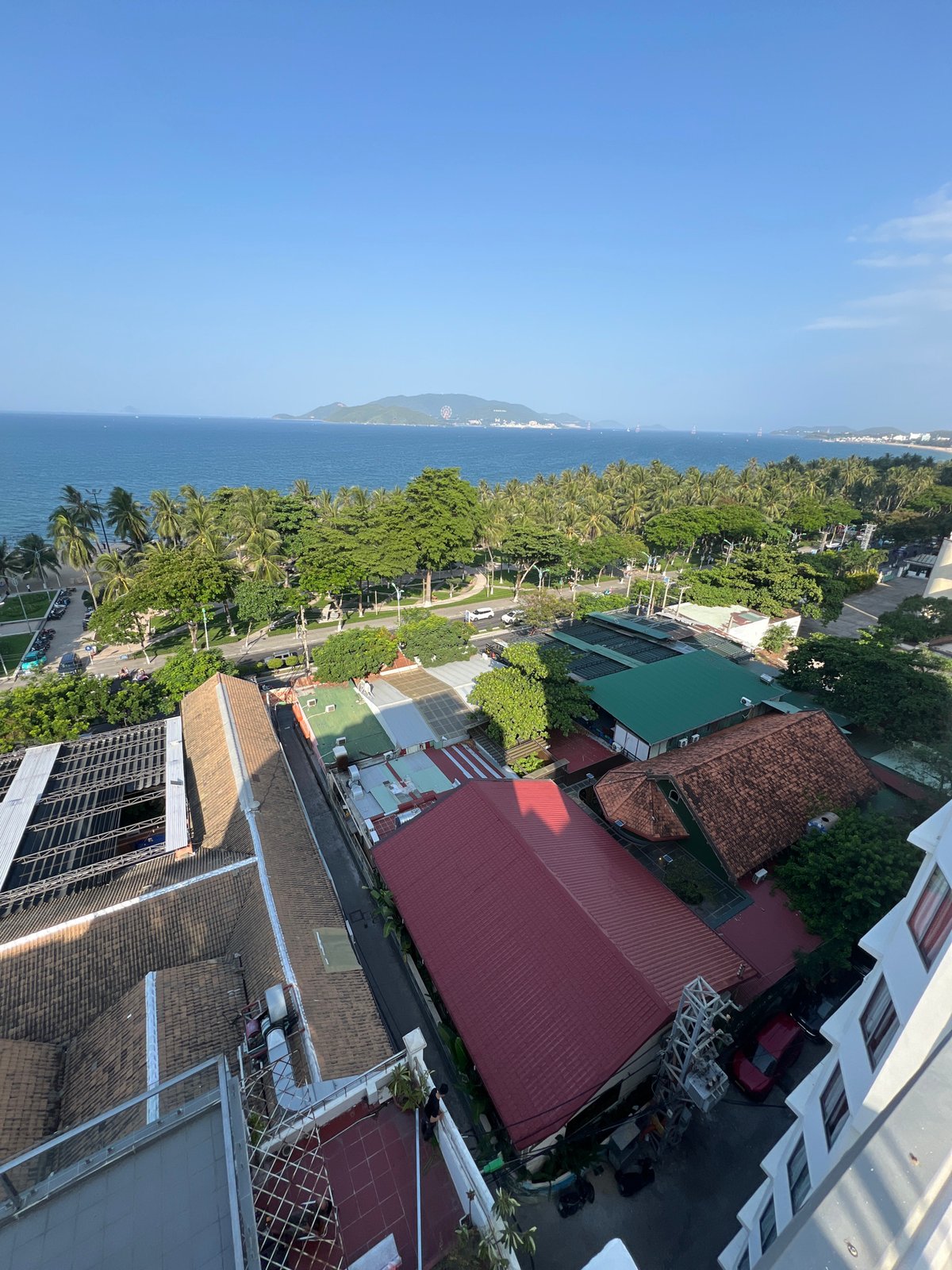 Nha Trang coast from above, plus a poodle