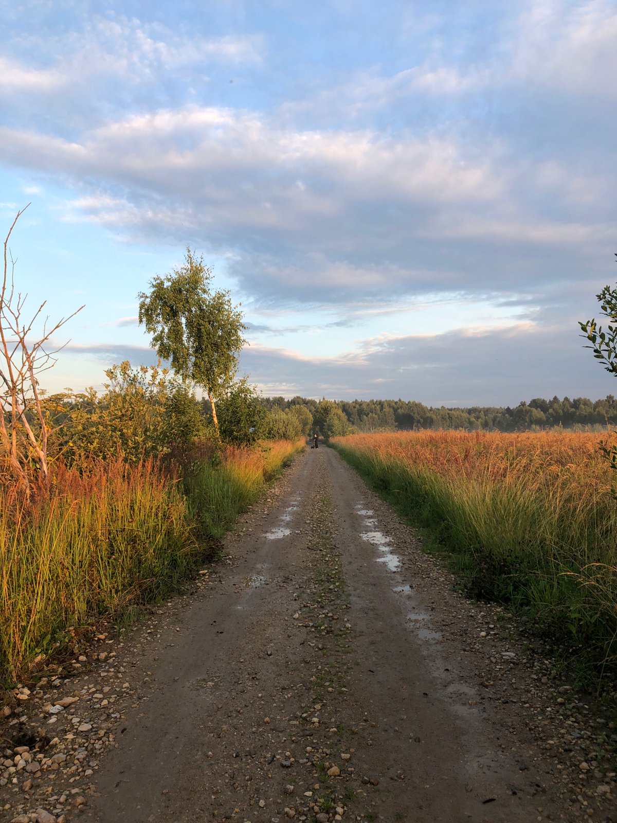 Misty summer sunrise over rural fields in Makeikha, Russia