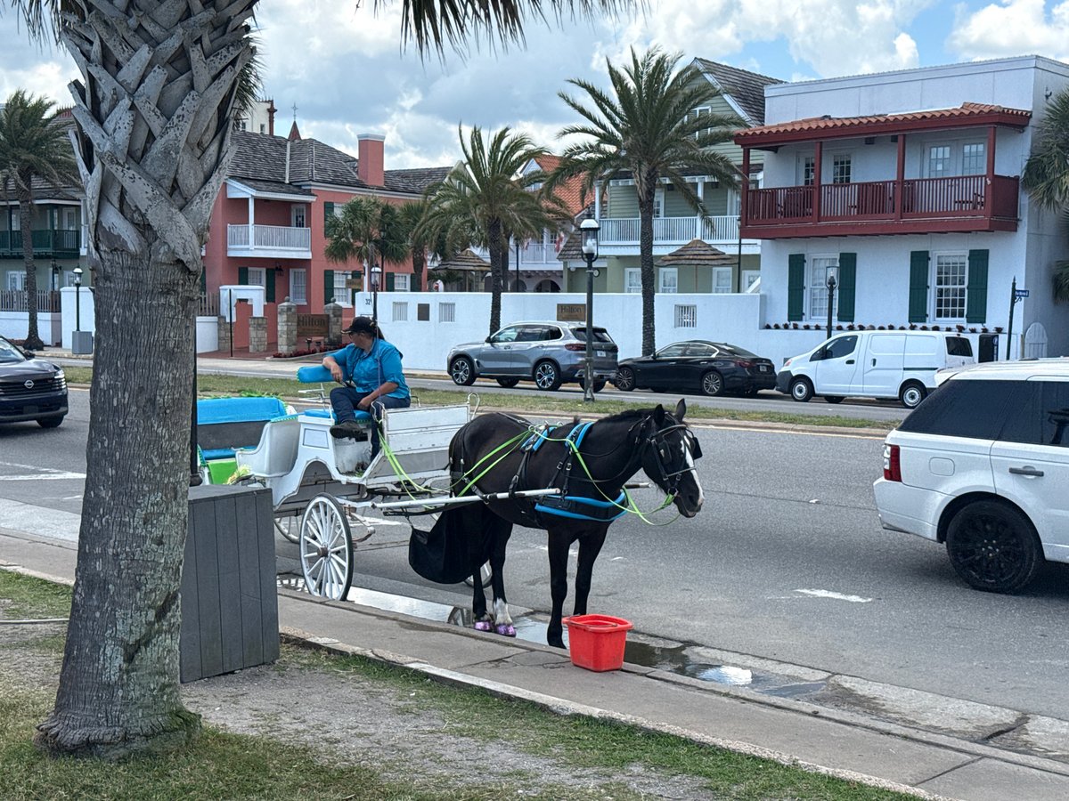 Tourist scenes documented across historic Saint Augustine during afternoon hours