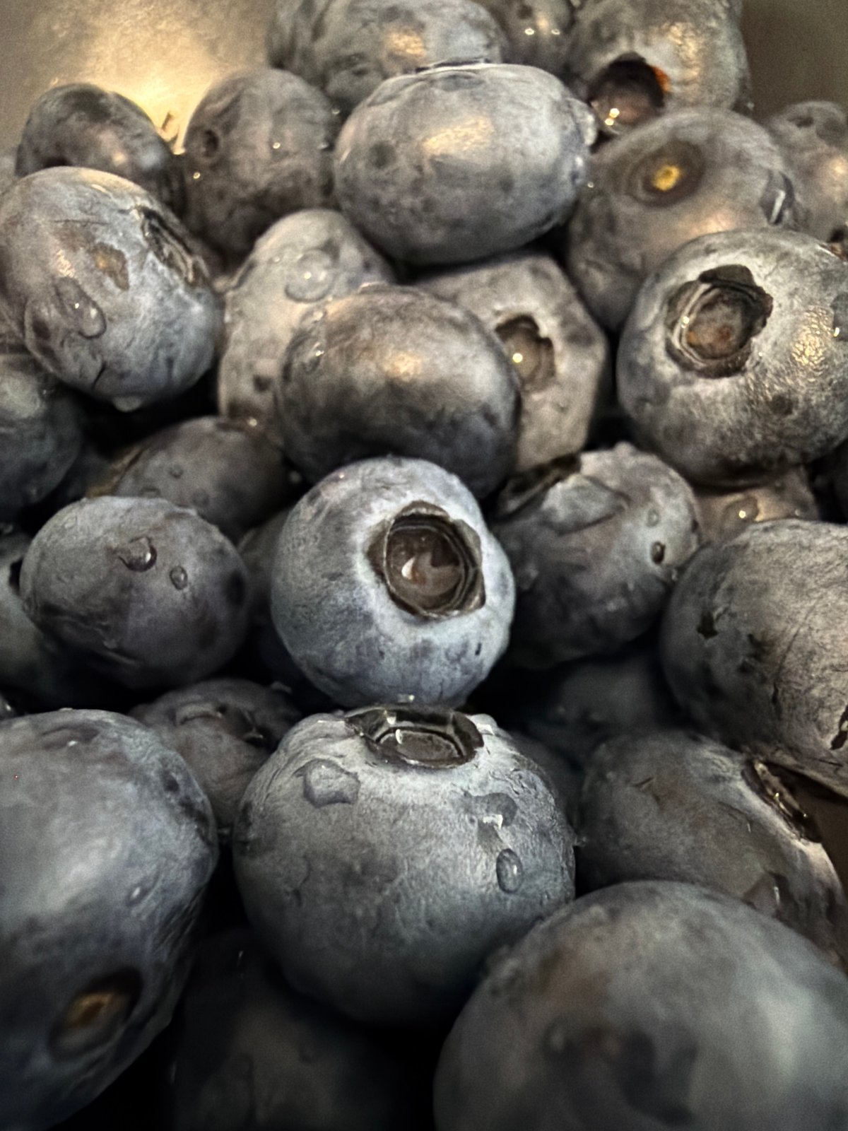Fresh blueberries up close, water droplets and all