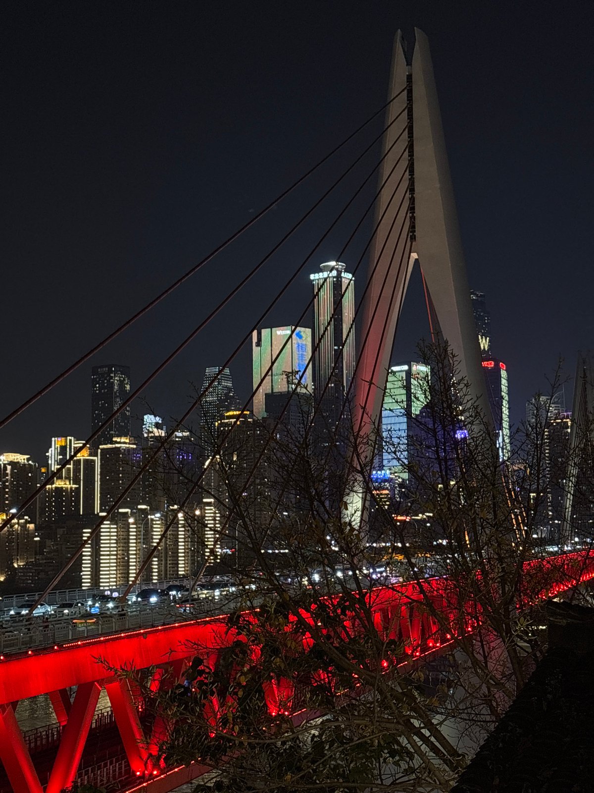 Nighttime scenes captured across Nan'an District, Chongqing showing illuminated cityscape