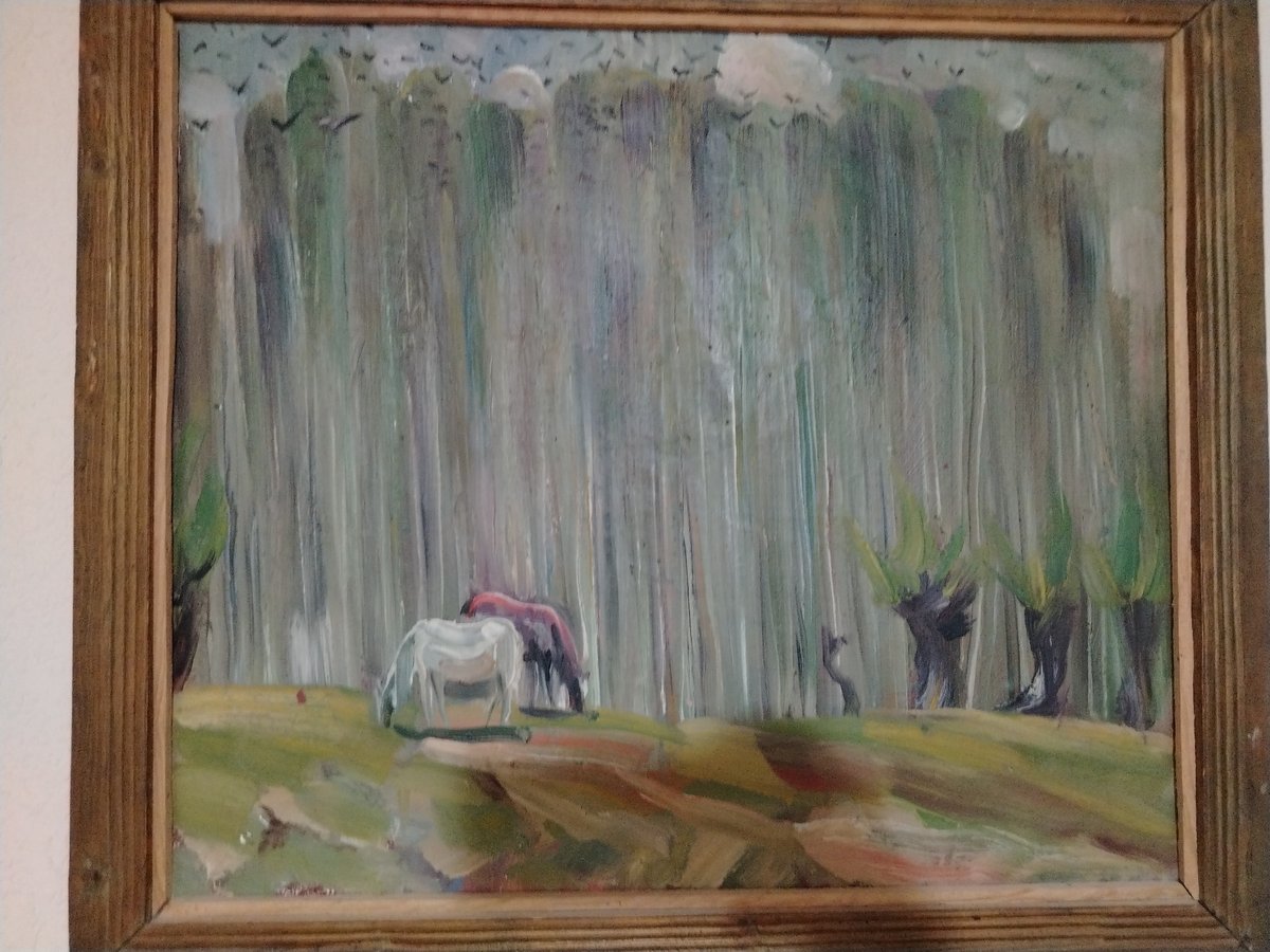 Oil paintings and an aquarium inside a Nukus home