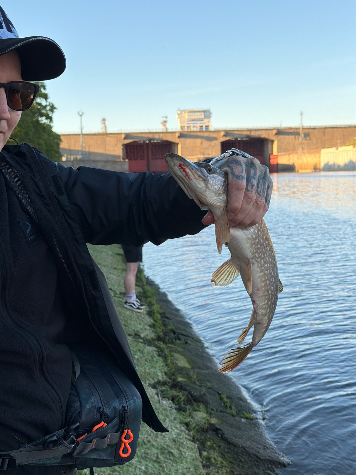 Angler displays caught northern pike in Chaikovsky, Russia
