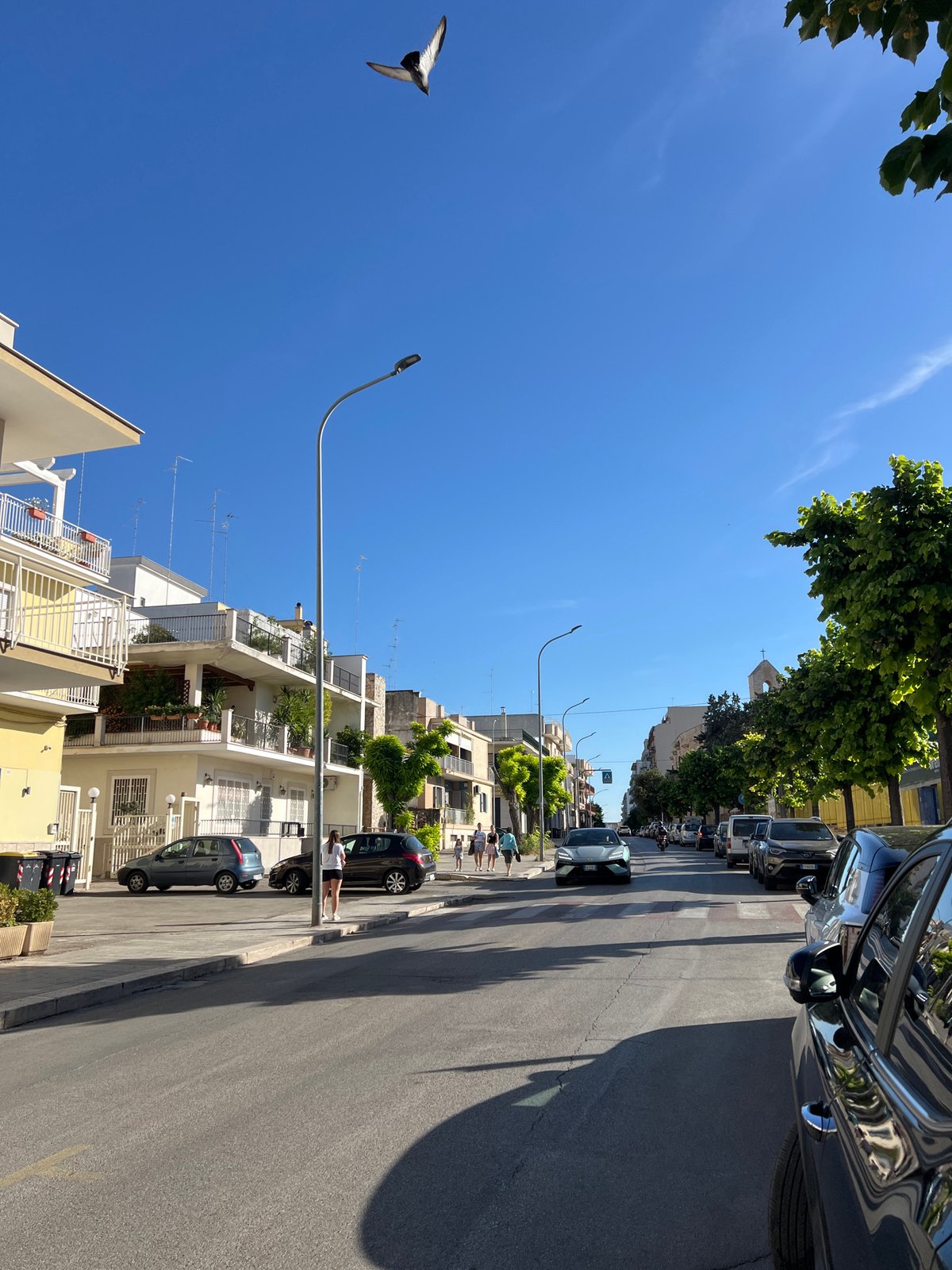 Sunny afternoon documentation tour through Bitonto, Italy streets and landmarks