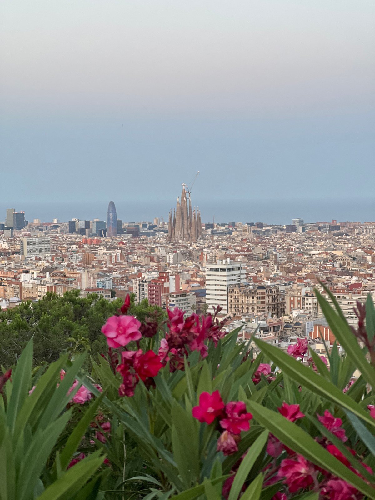 Barcelona at dusk, from hilltop views to a Pilates studio