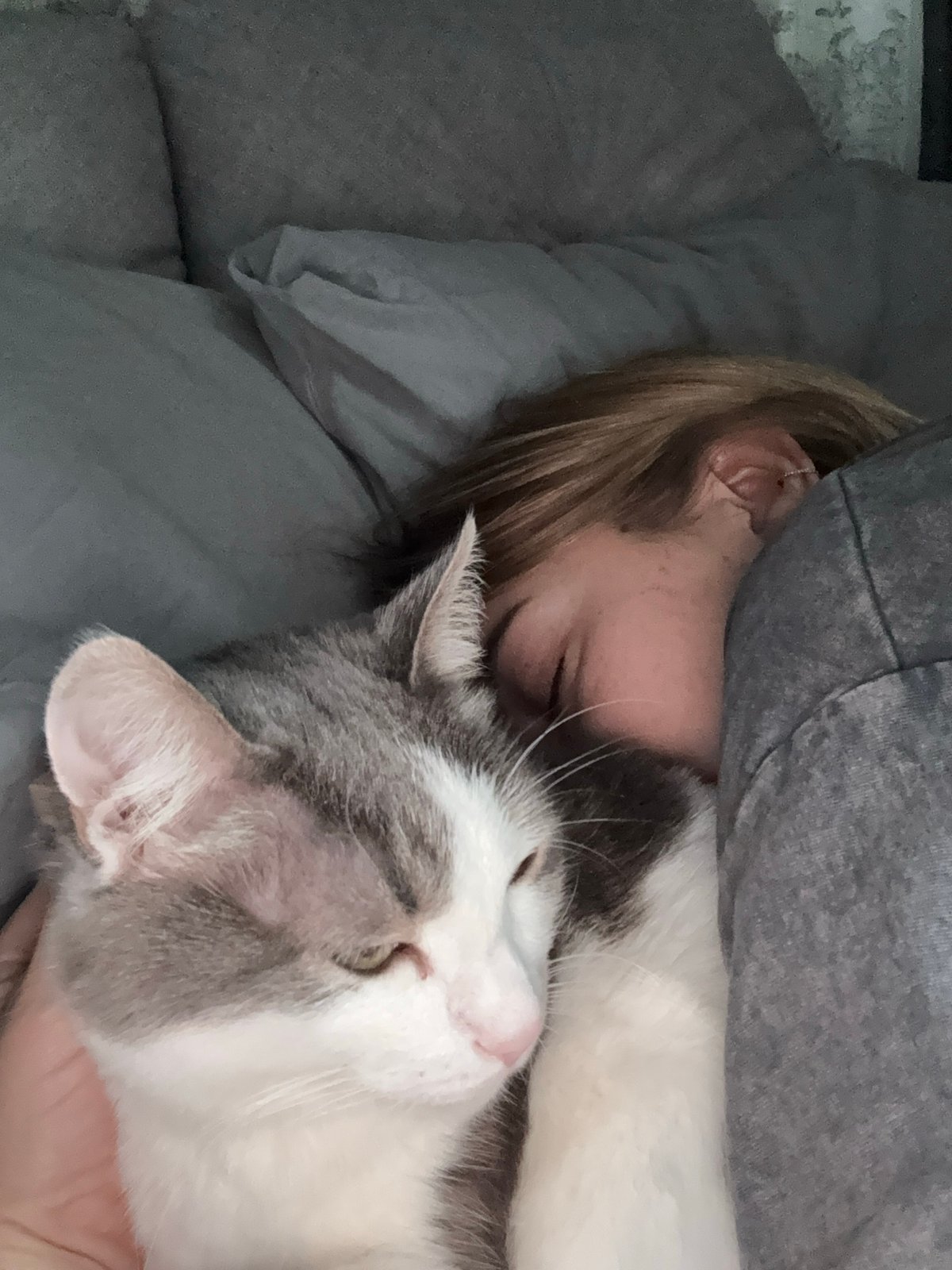 Tender moment captured between person and cat in Ust-Ilimsk