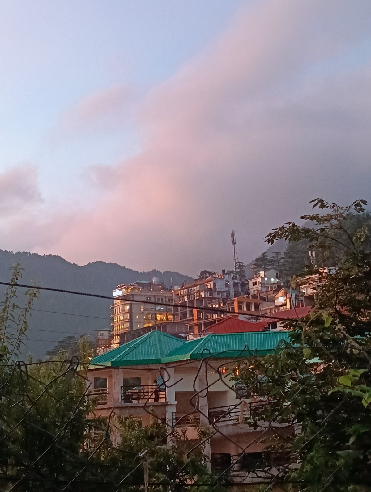 Monasteries, monkeys, and mountain views in Dharamshala