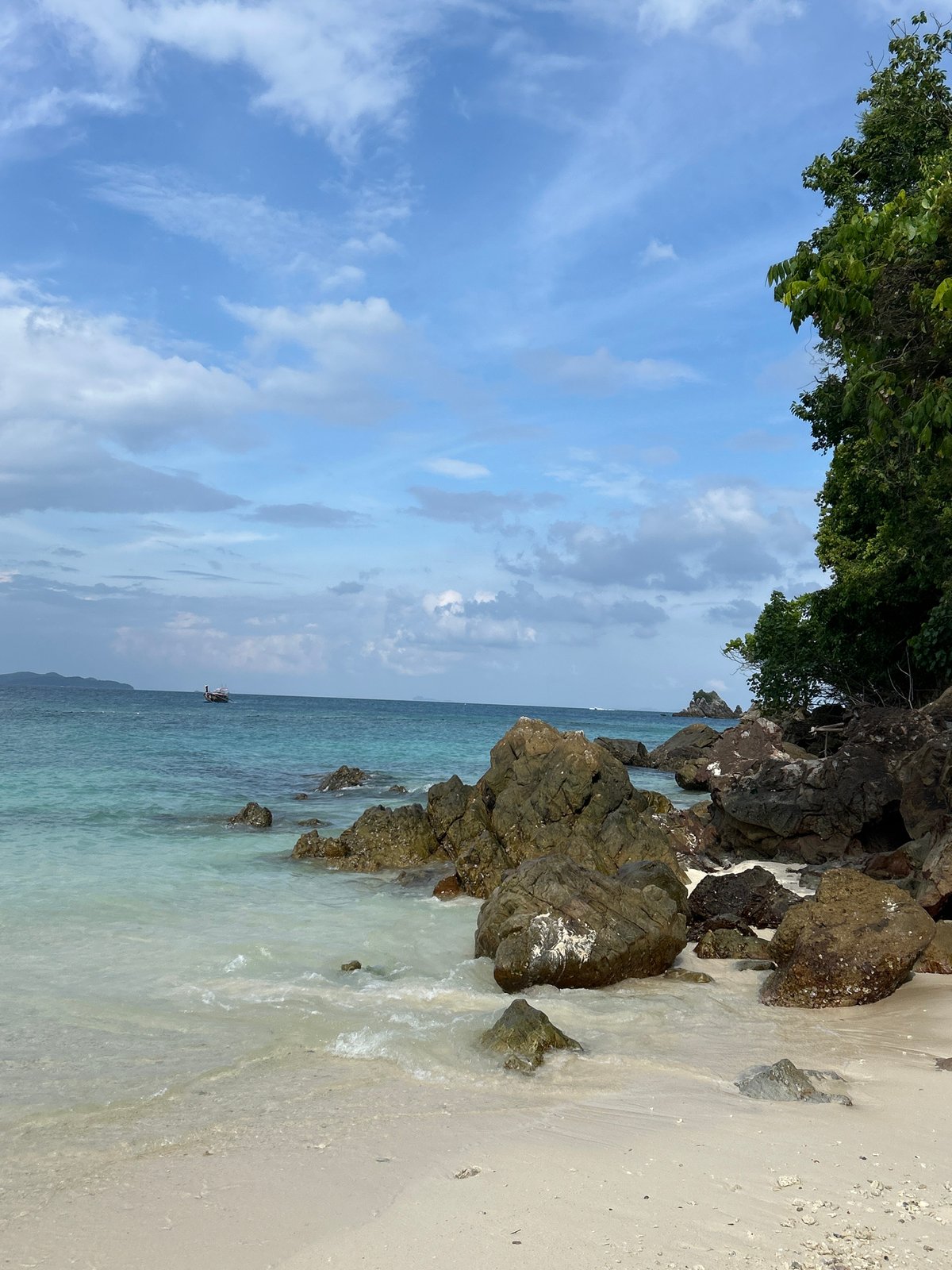 Exploring a Thai beach shore, coral in hand