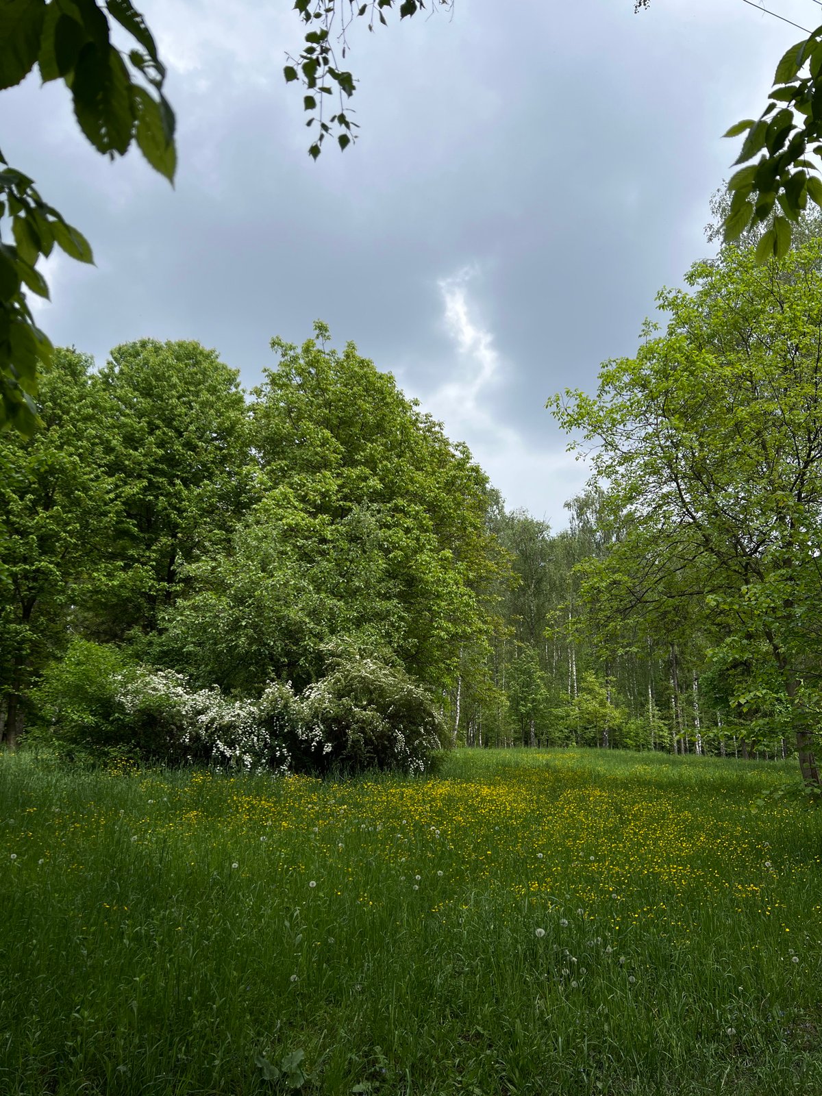 Spring park walk documented in Ternopil, Ukraine