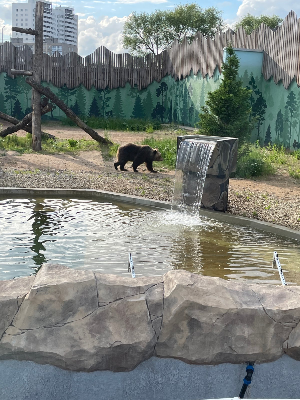 Zoo visit documented in Perm, Russia with various animals