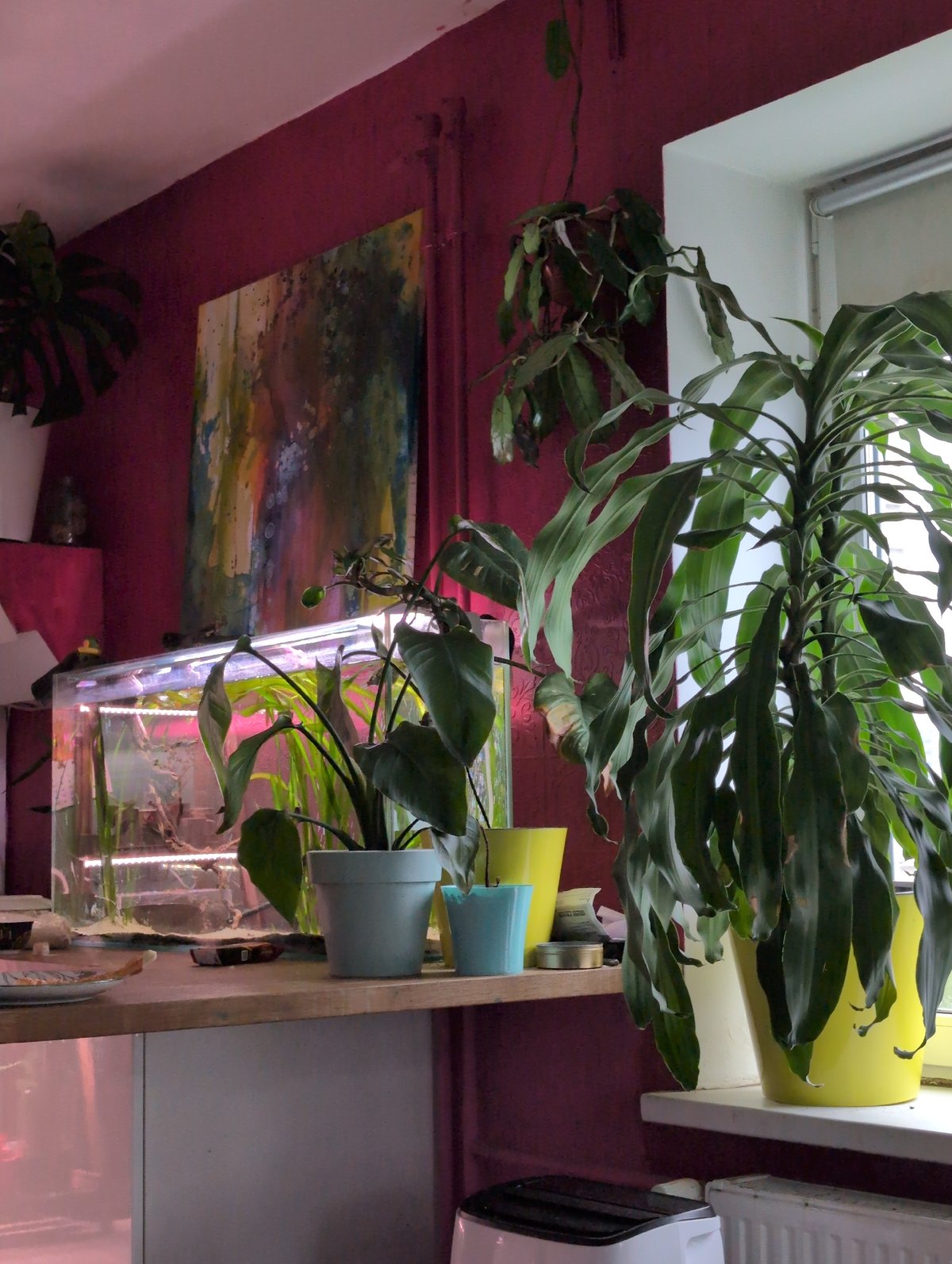 A plant-filled Saint Petersburg home with fish, birds, and forest views