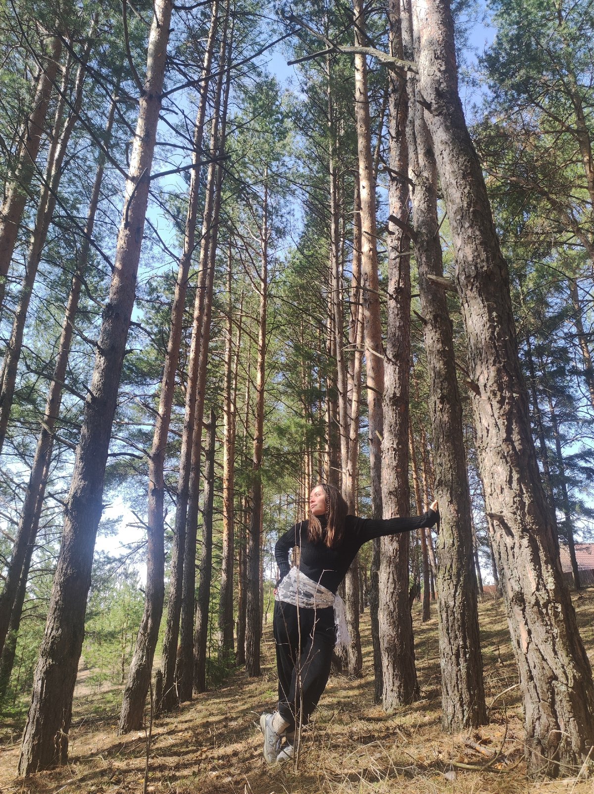 Quiet morning moments captured in Фоки forest community