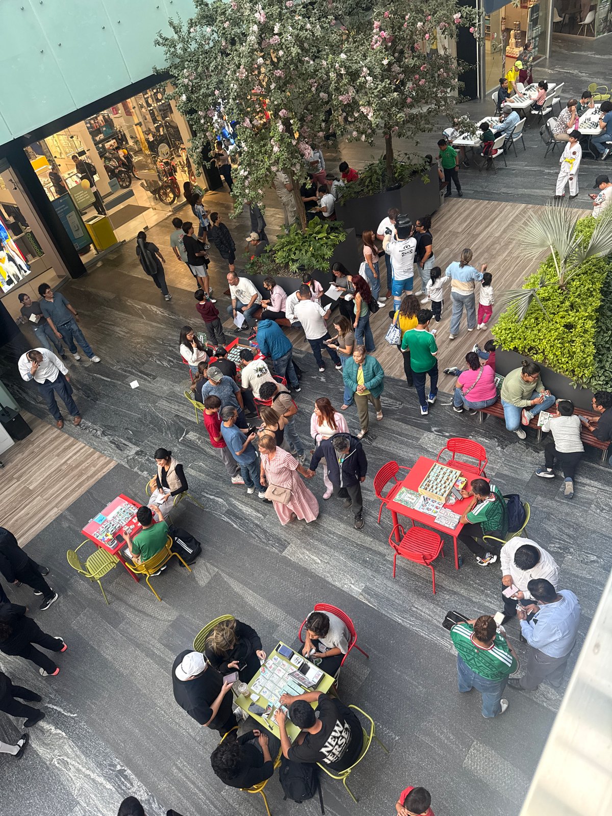 Soccer art installations draw crowds in Puebla public space