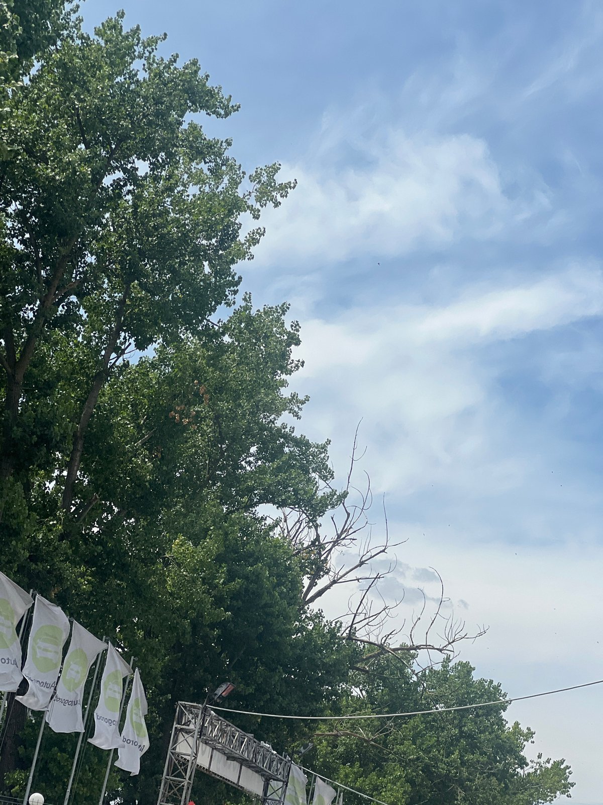 Midmorning street-level views from a residential corner in Odesa