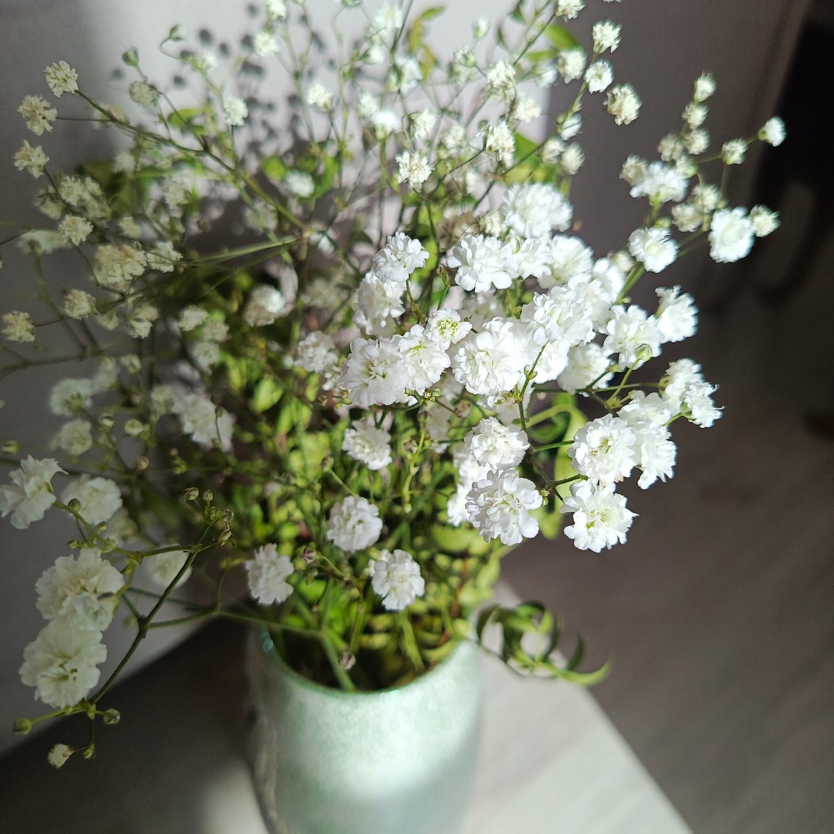 Morning domestic life scenes captured in Марковский, Russia