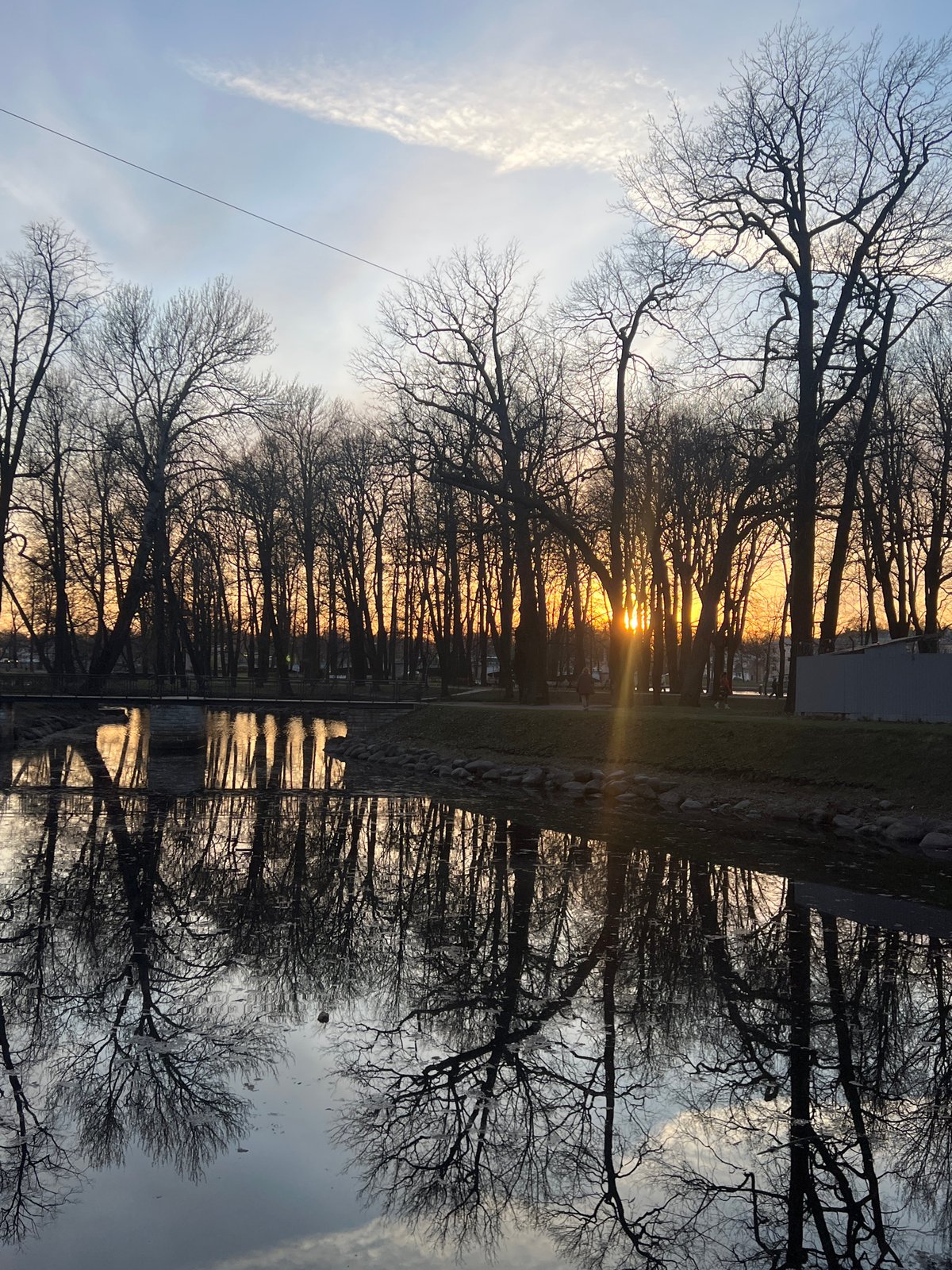 Evening wildlife and joggers observed along Saint Petersburg canal