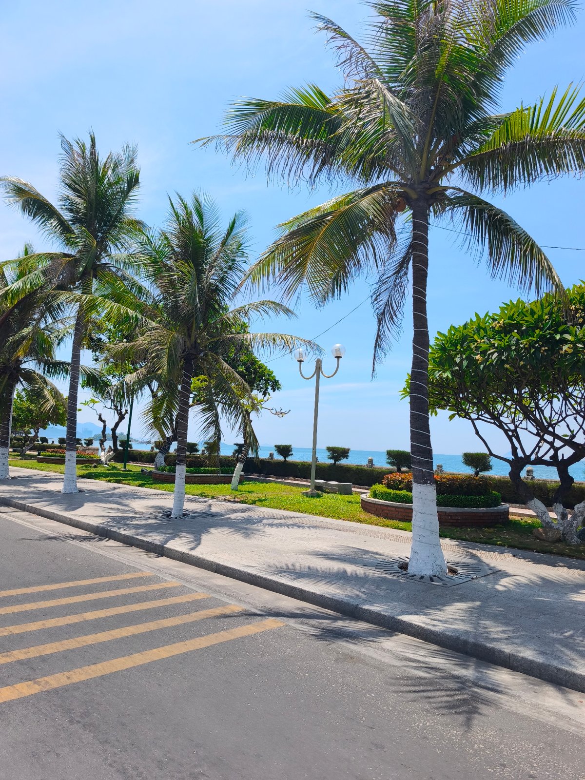 Cruising Nha Trang's sunny seafront on a clear morning