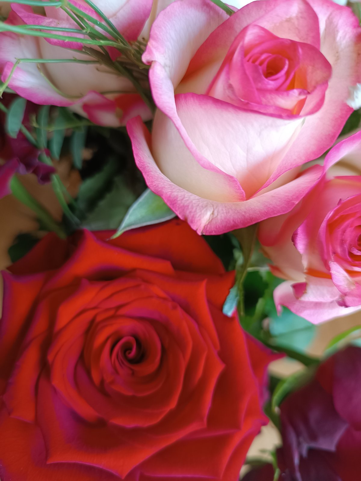 Close-up overhead shots of a rose bouquet in Hrazdan