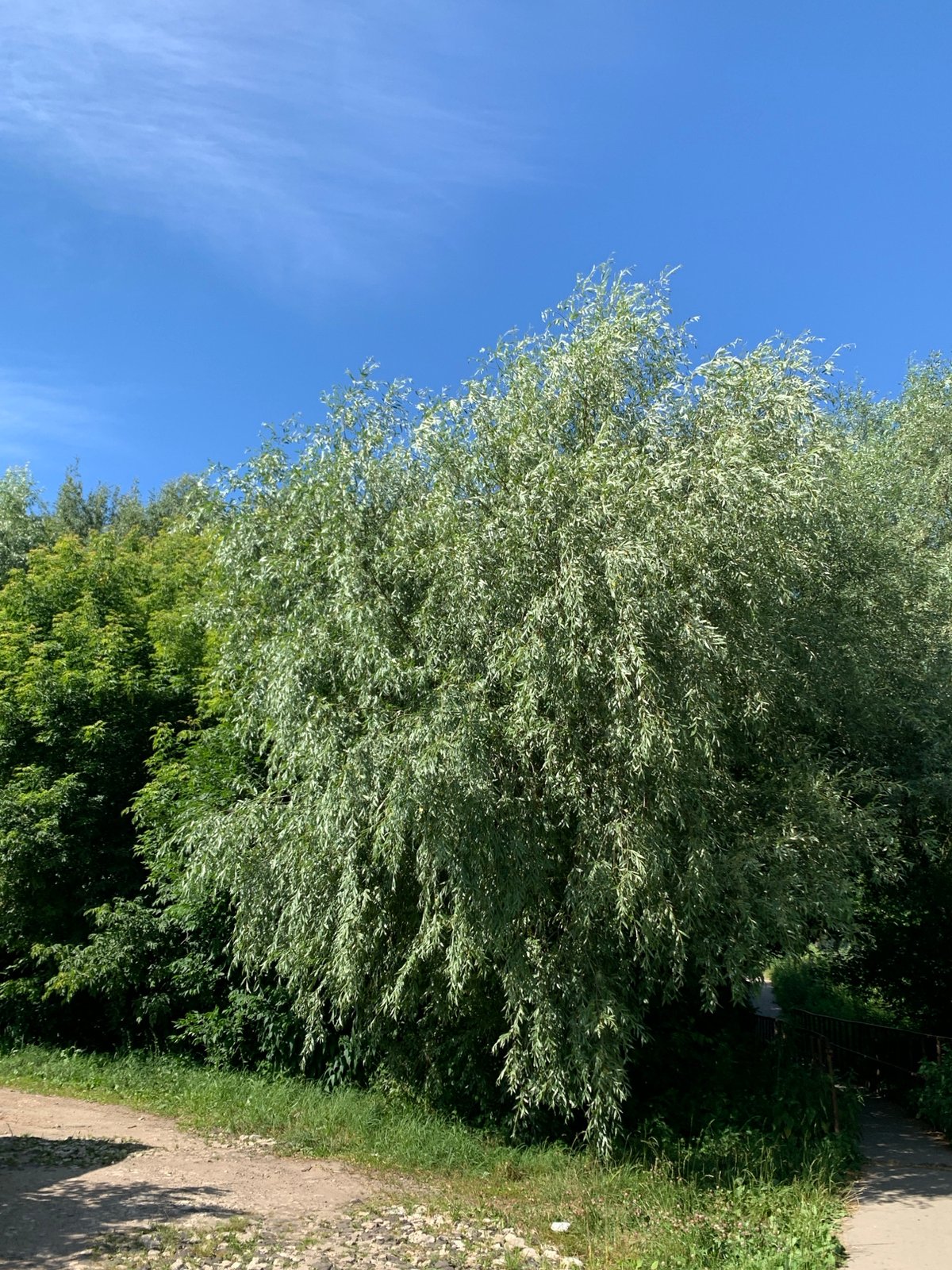 Afternoon wandering through streets and green spaces in Pavlovo