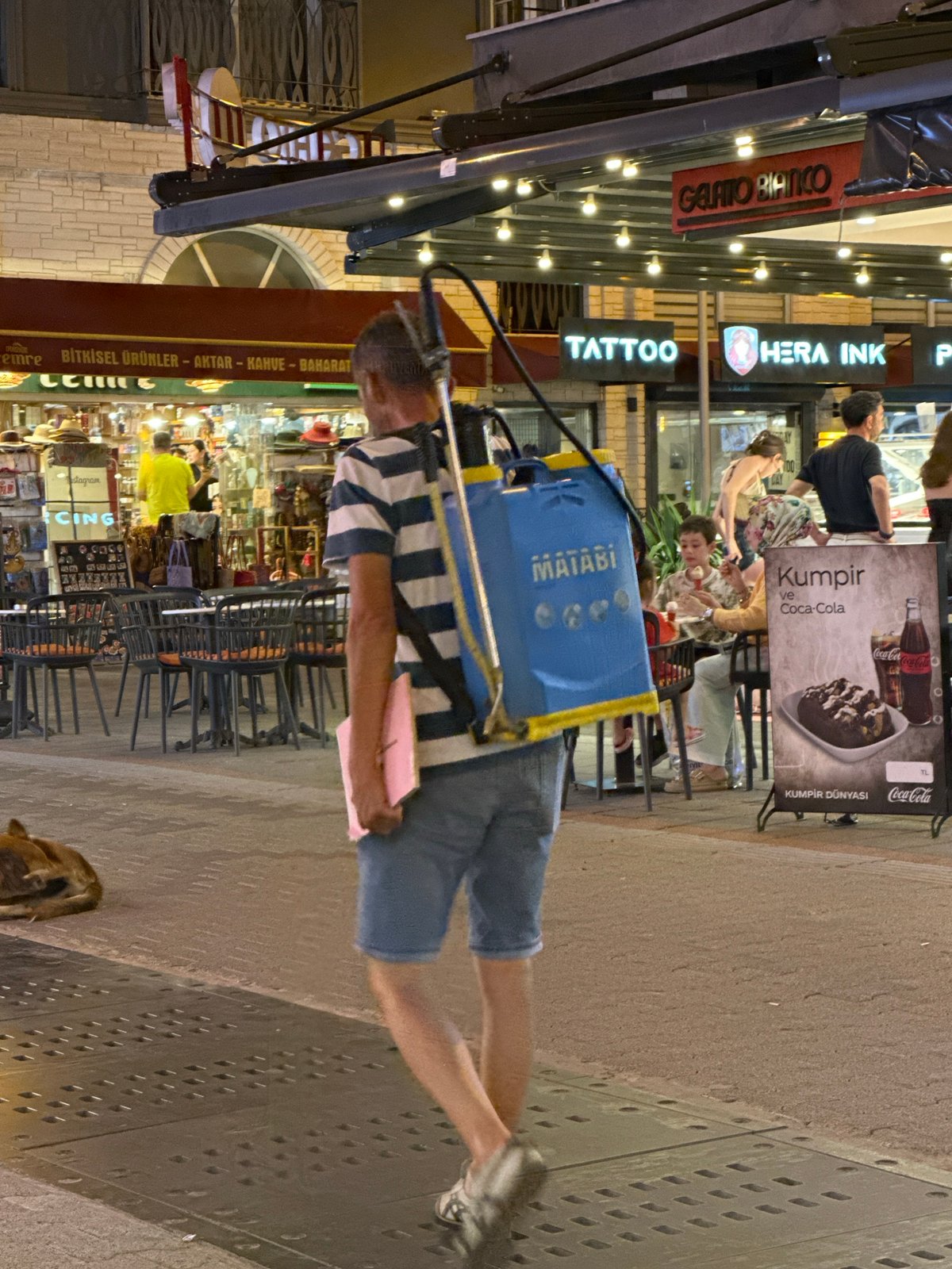 Evening street life along a lit-up strip in Fethiye
