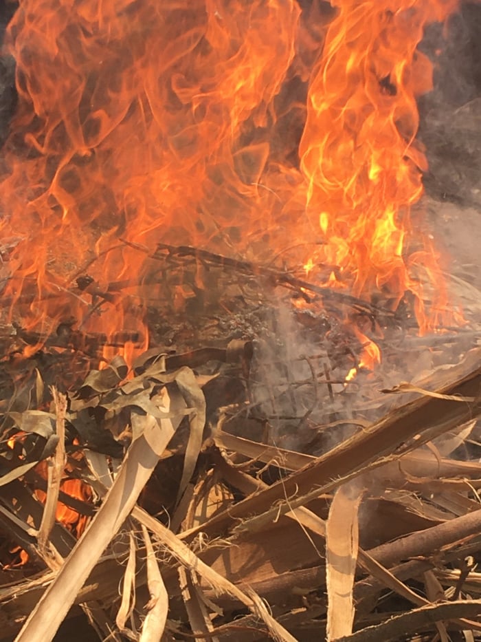 Small farm operations documented in rural Ndeiya, Kenya