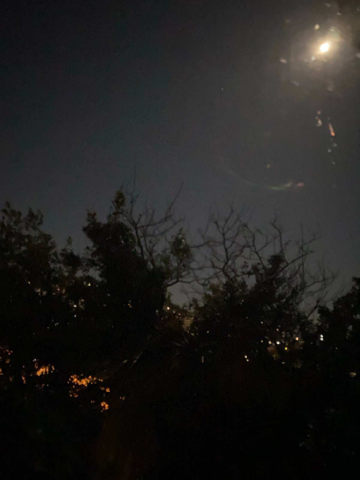 Night scene with bright moon and silhouetted trees in Sochi