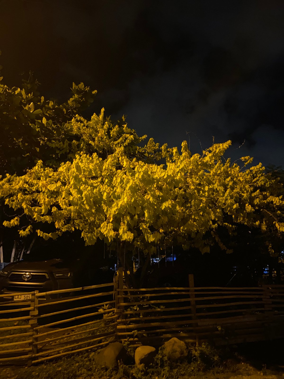 Evening stroll documented through Davao City residential neighborhood