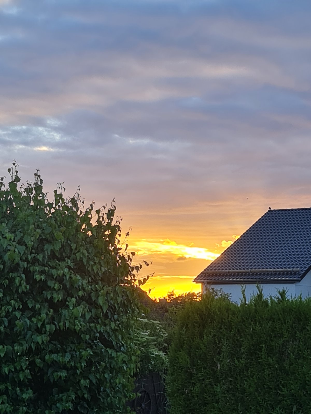 Sunset and charcuterie evening in Barsinghausen
