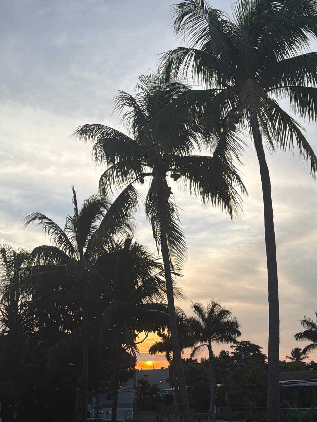 Sunset stroll along Miami's rocky waterfront edge