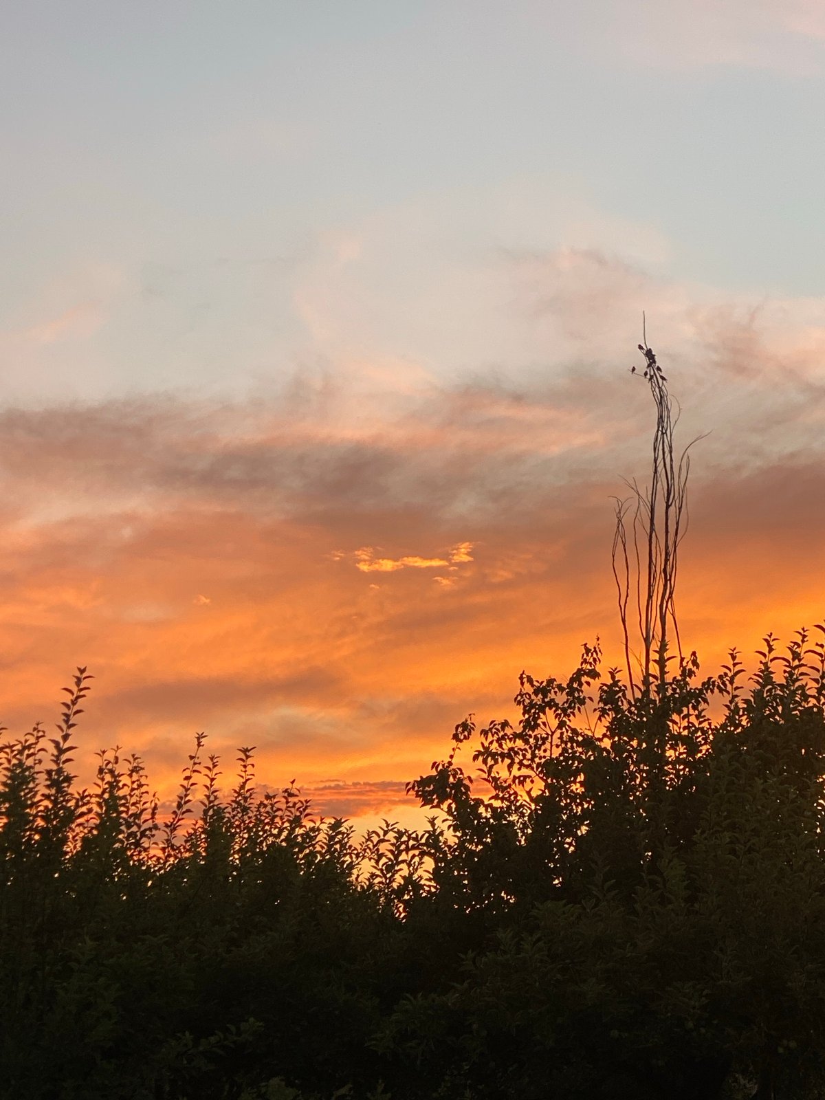 Sunset sky over Barbulak's open landscape, Kyrgyzstan