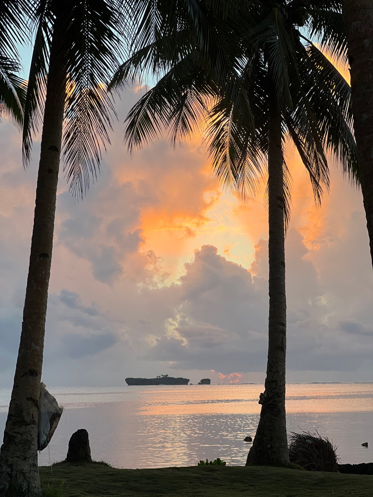 Siargao sunset framed by silhouetted palm trees