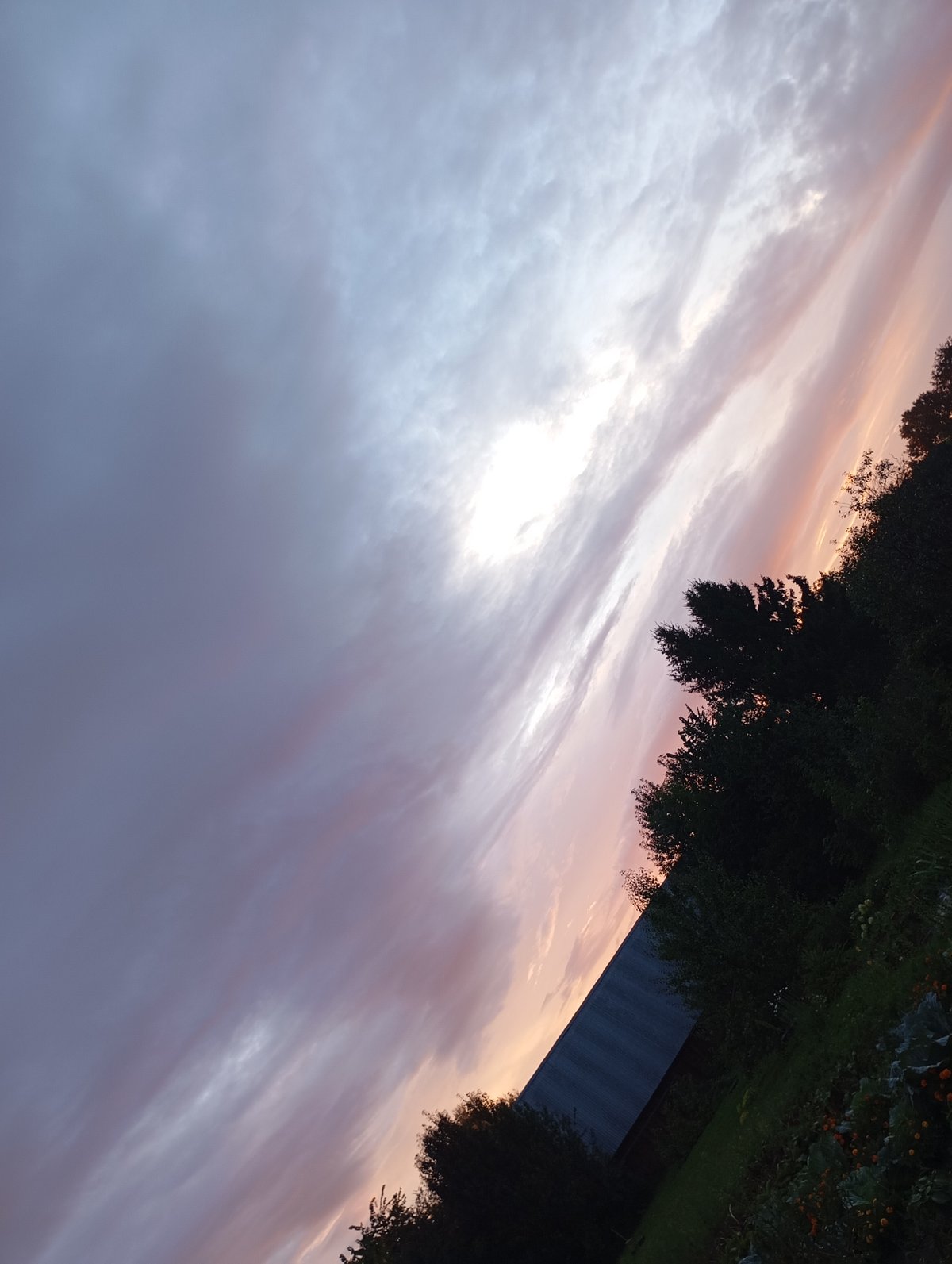 Post-rain garden and sunset skies in rural Фоки