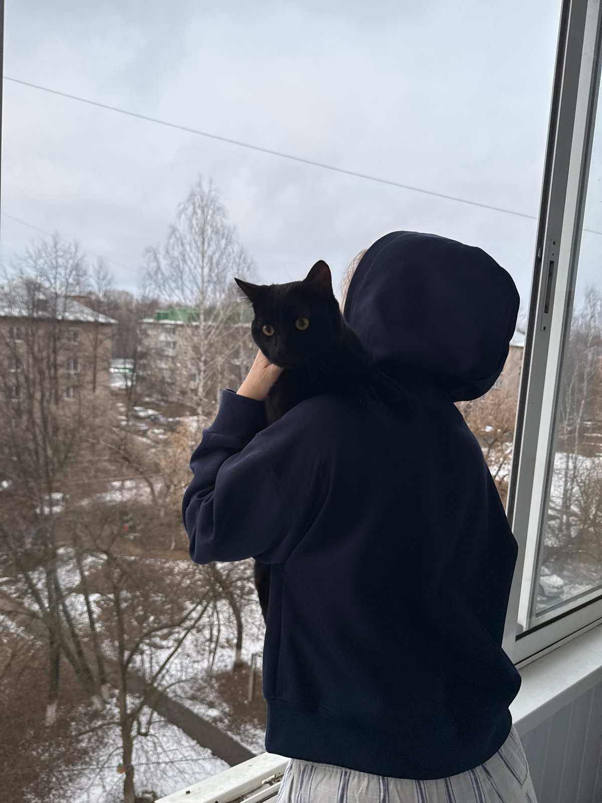 Domestic moments captured in Chaikovsky apartment featuring cat, residents