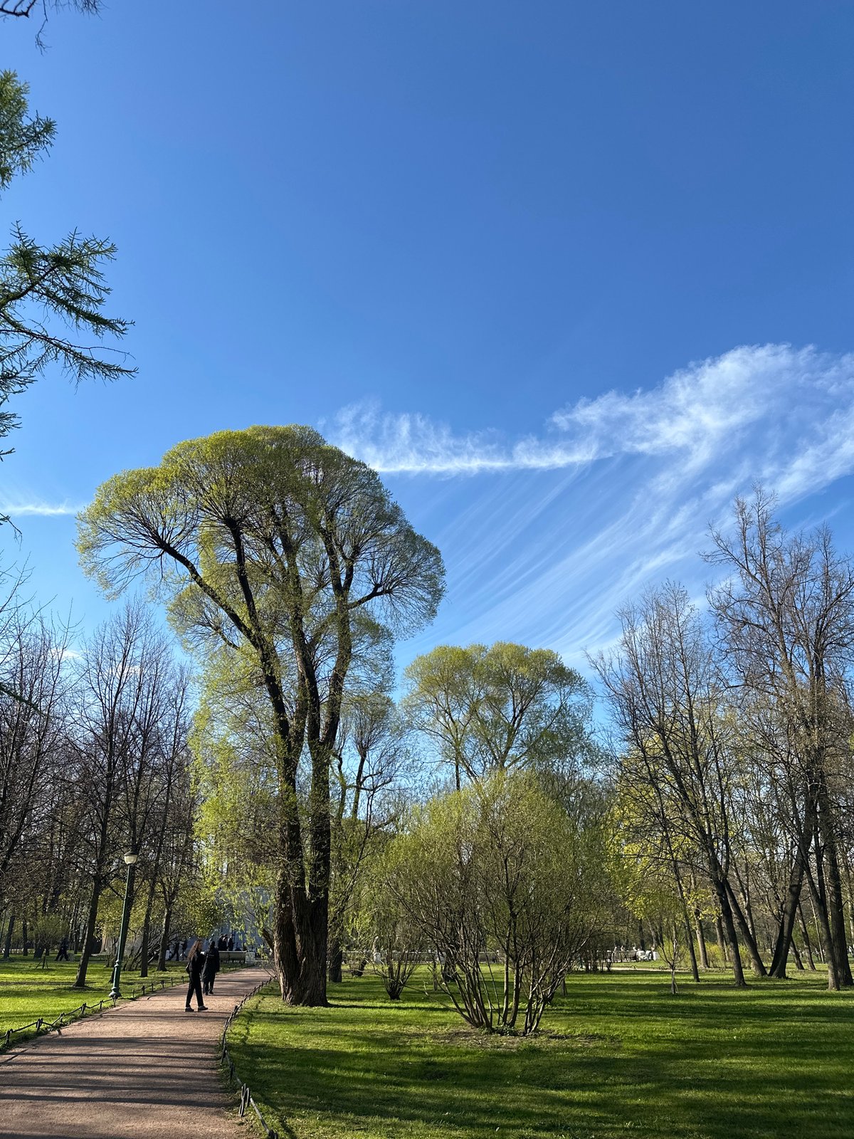 Spring afternoon brings varied activities to city park