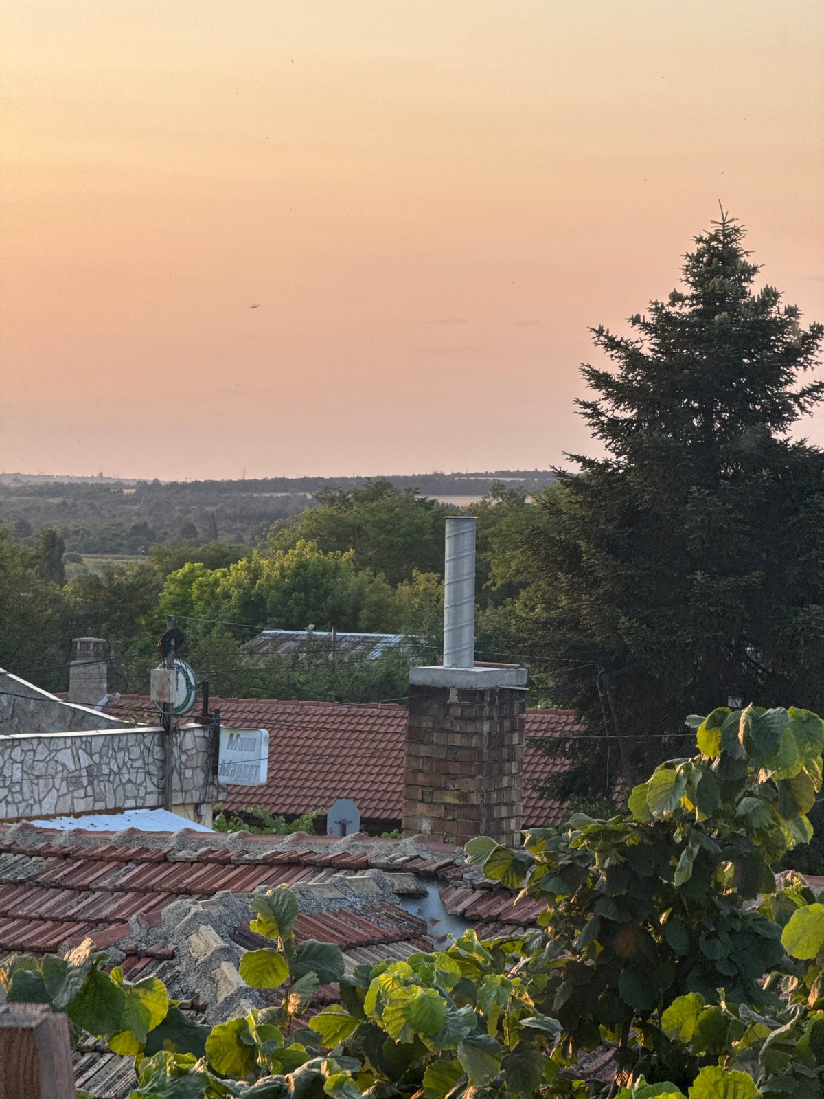 Summer evening in rural Dobrich: rooftops and ripe cherries