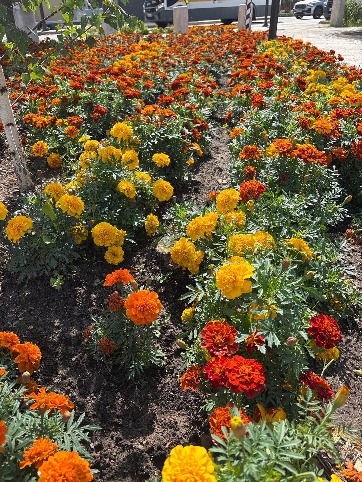 Flowers and plush toys at a gift shop in Zvenigorod