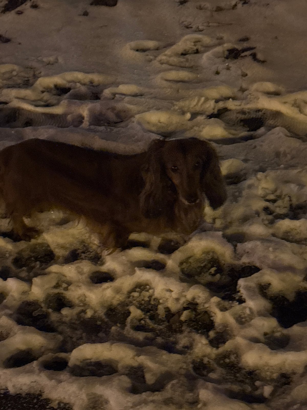 Evening winter walk documented through snowy Krasnoyarsk streets
