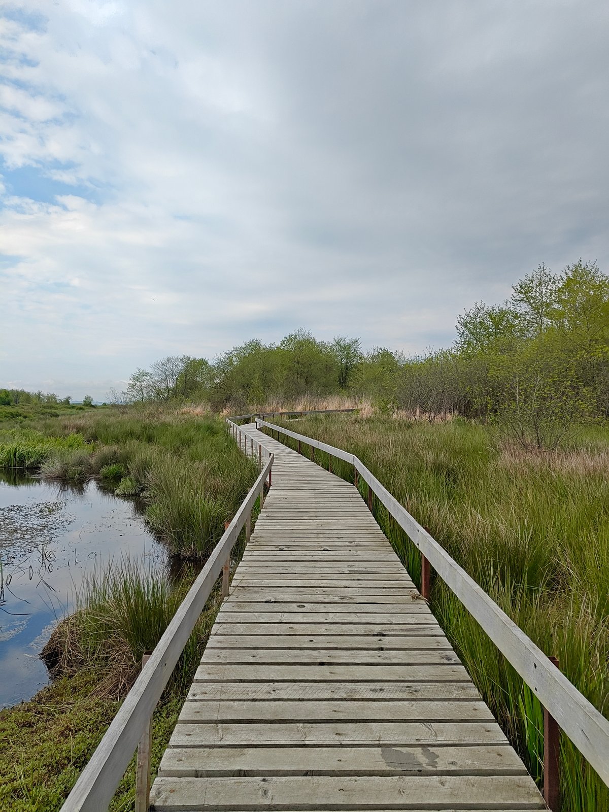 Visitor documents scenic wetland boardwalks in Kobuleti, Georgia