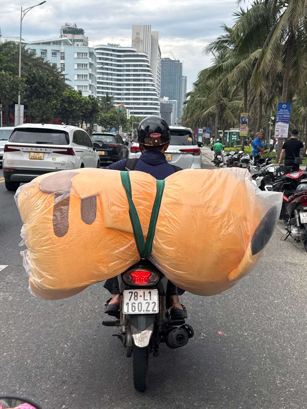 Motorcyclist observed on busy Đà Nẵng street during morning hours