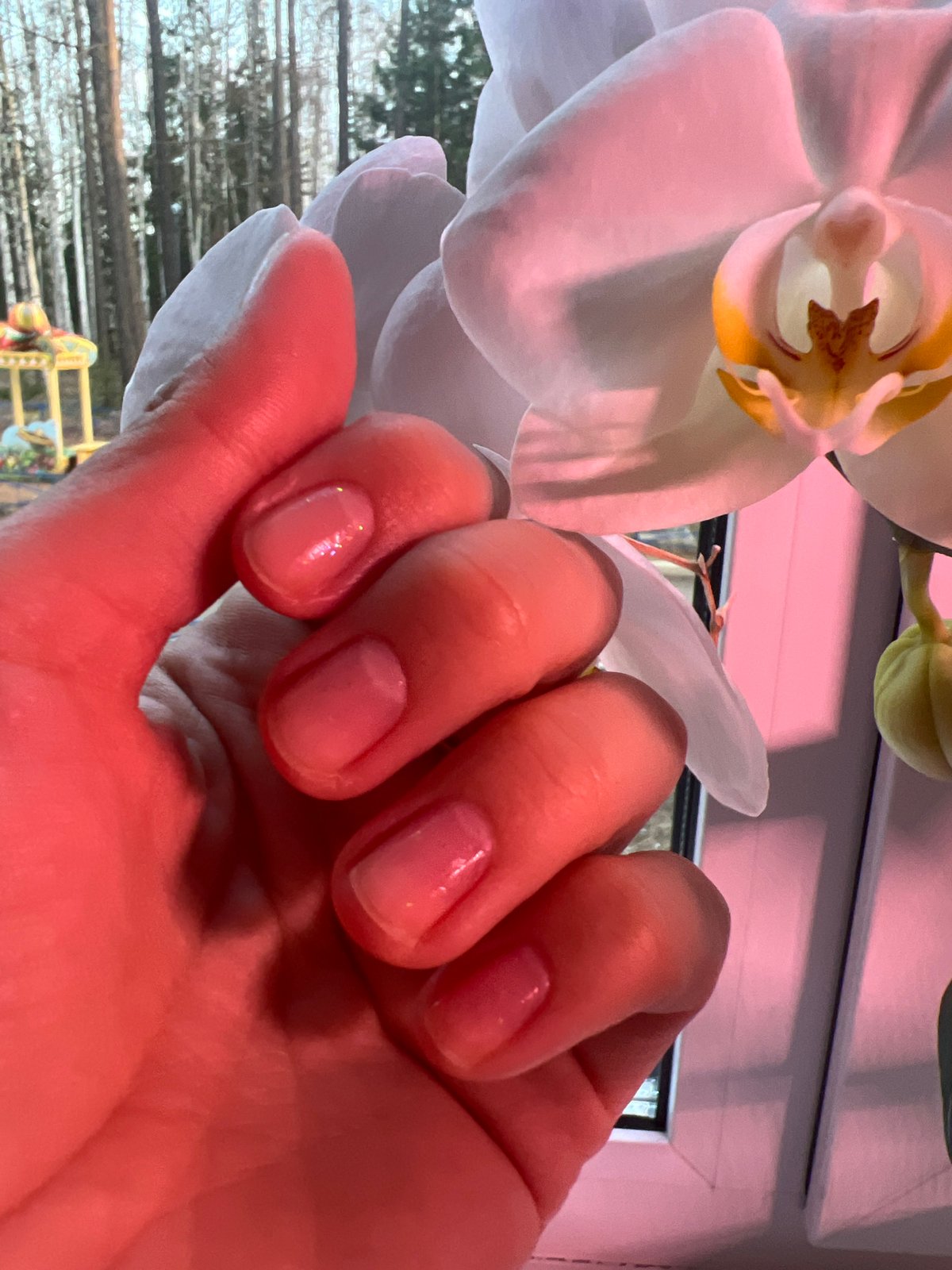 Beauty session documented in Ust-Ilimsk with manicure, flowers