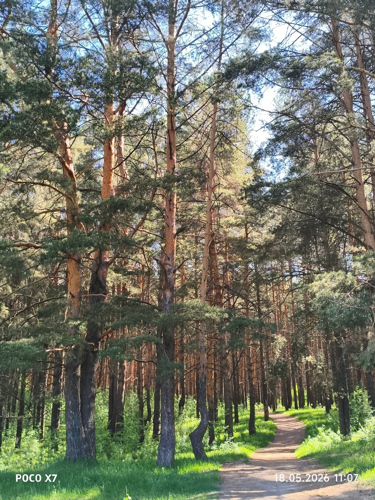 Morning life documented across Chaikovsky, Russia residential areas