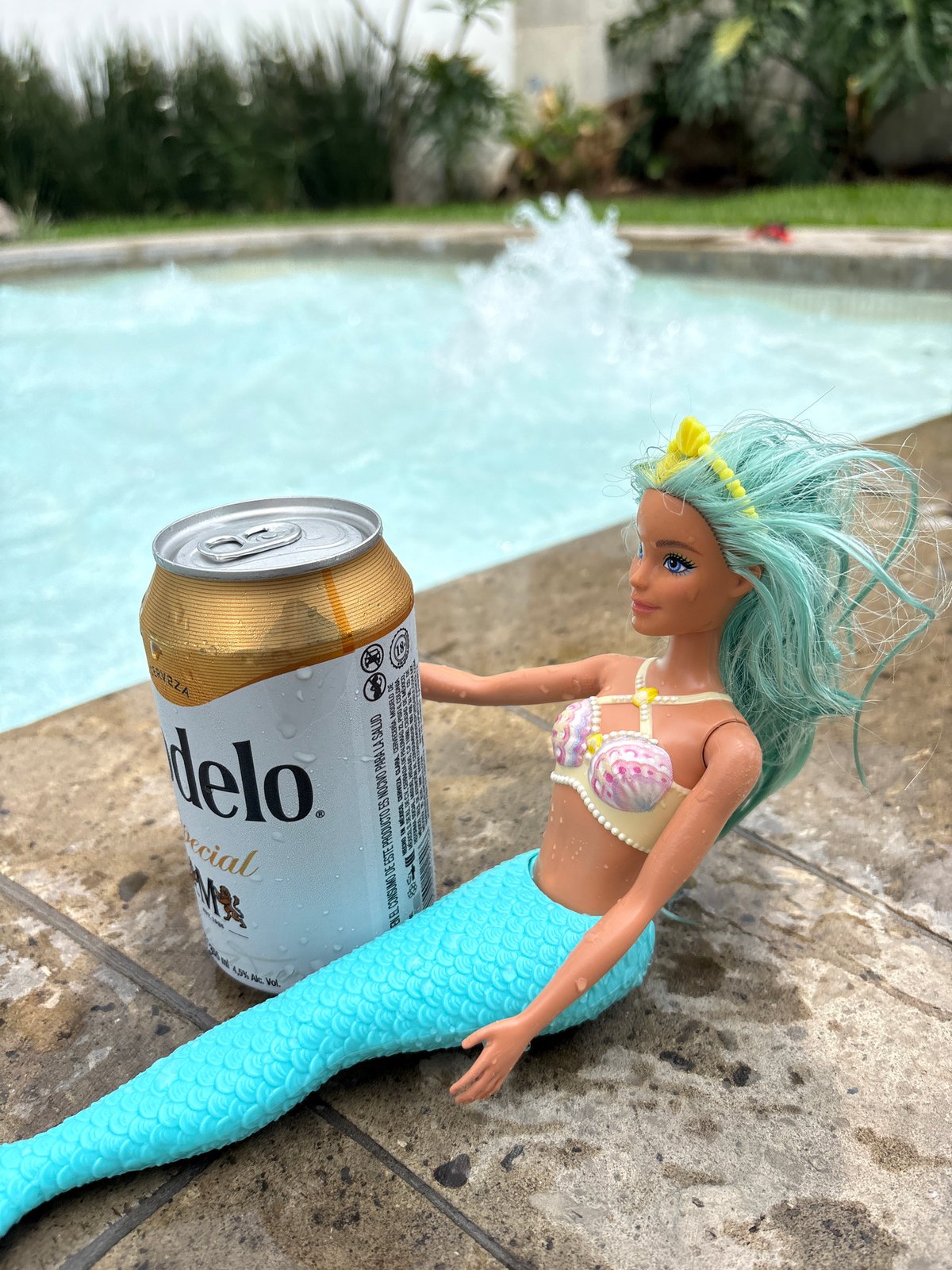 Everyday moments documented in Tres de Mayo: mermaid doll, relaxing dog