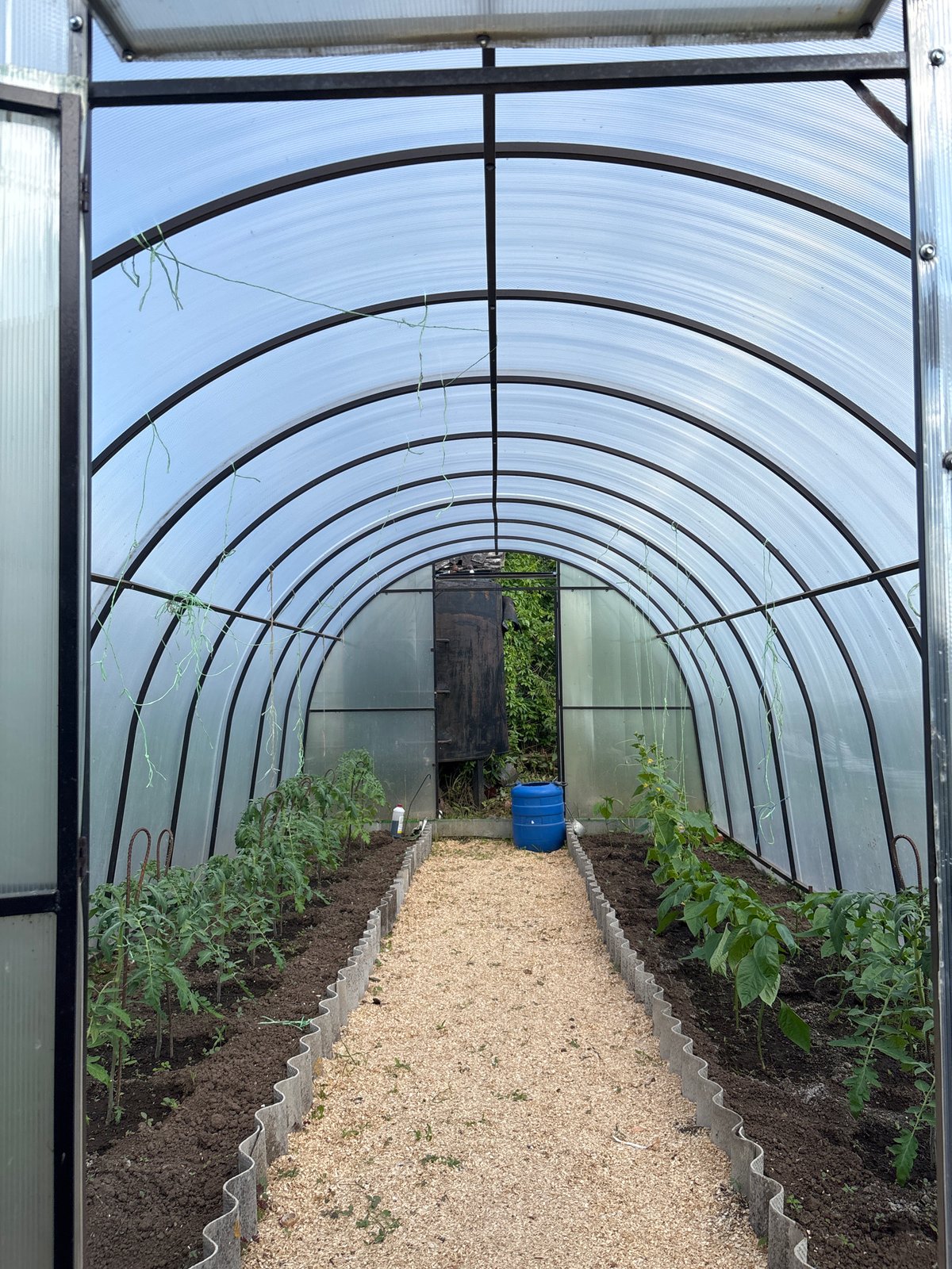 Casual greenhouse visit documented in Chaikovsky, Russia