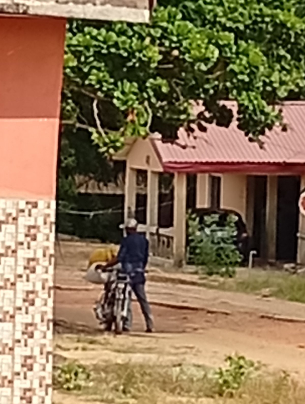 Morning street activity observed on dirt road in residential area