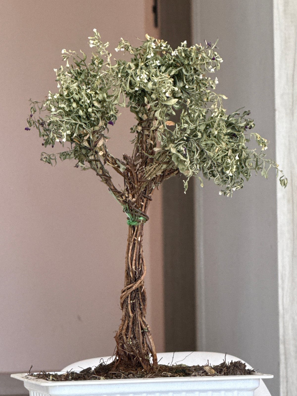 Young woman documents daily life across Puebla locations
