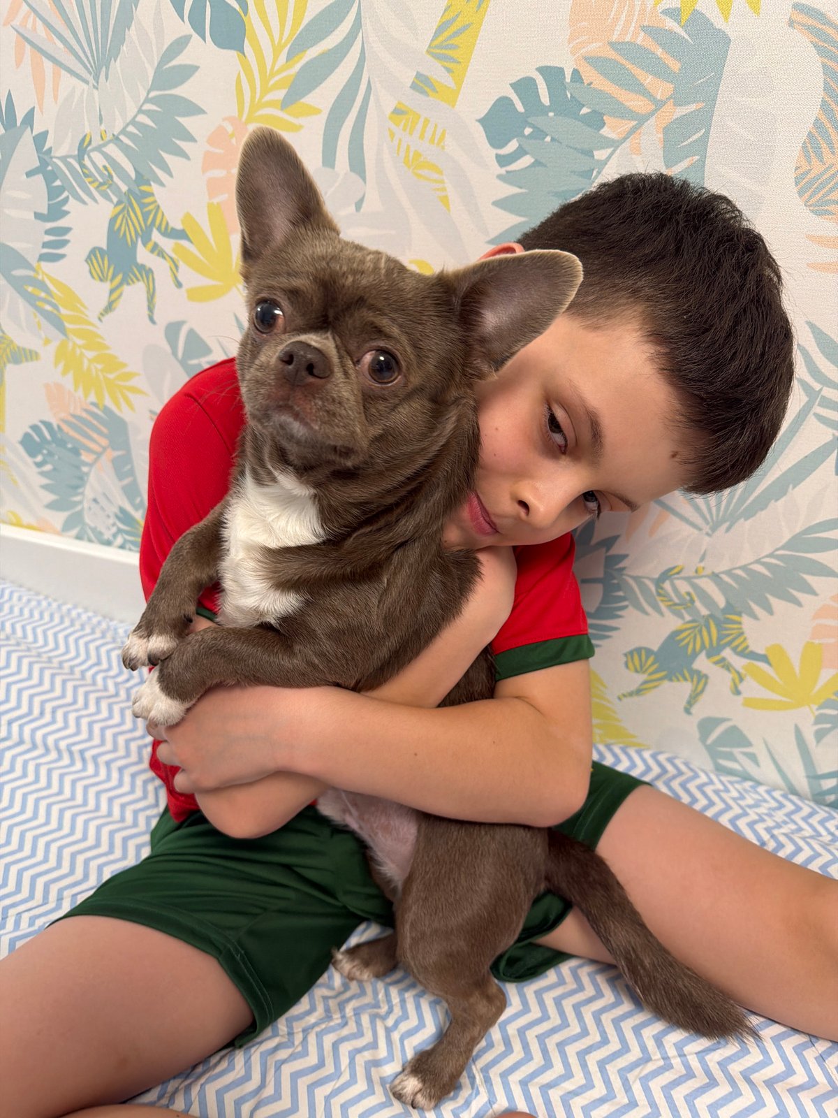 Boy plays with puppy in Votkinsk home