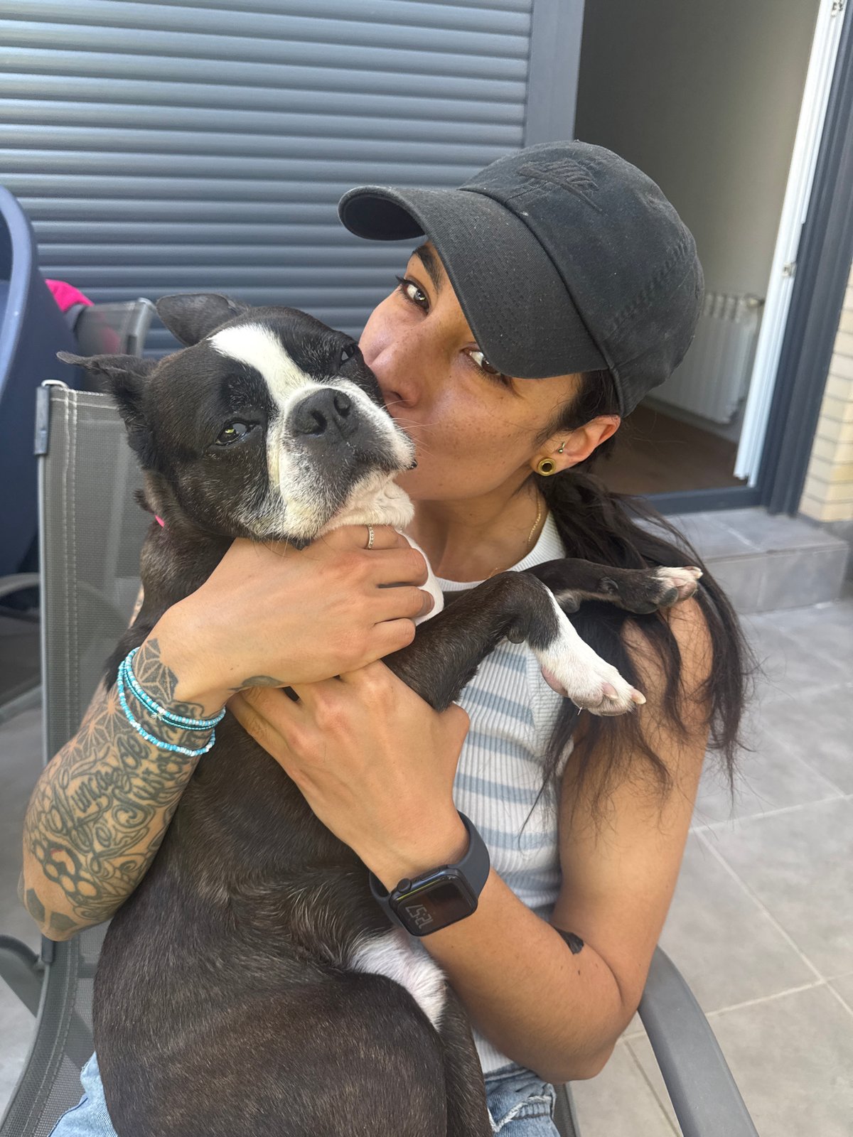 Person in casual wear embraces black and white dog