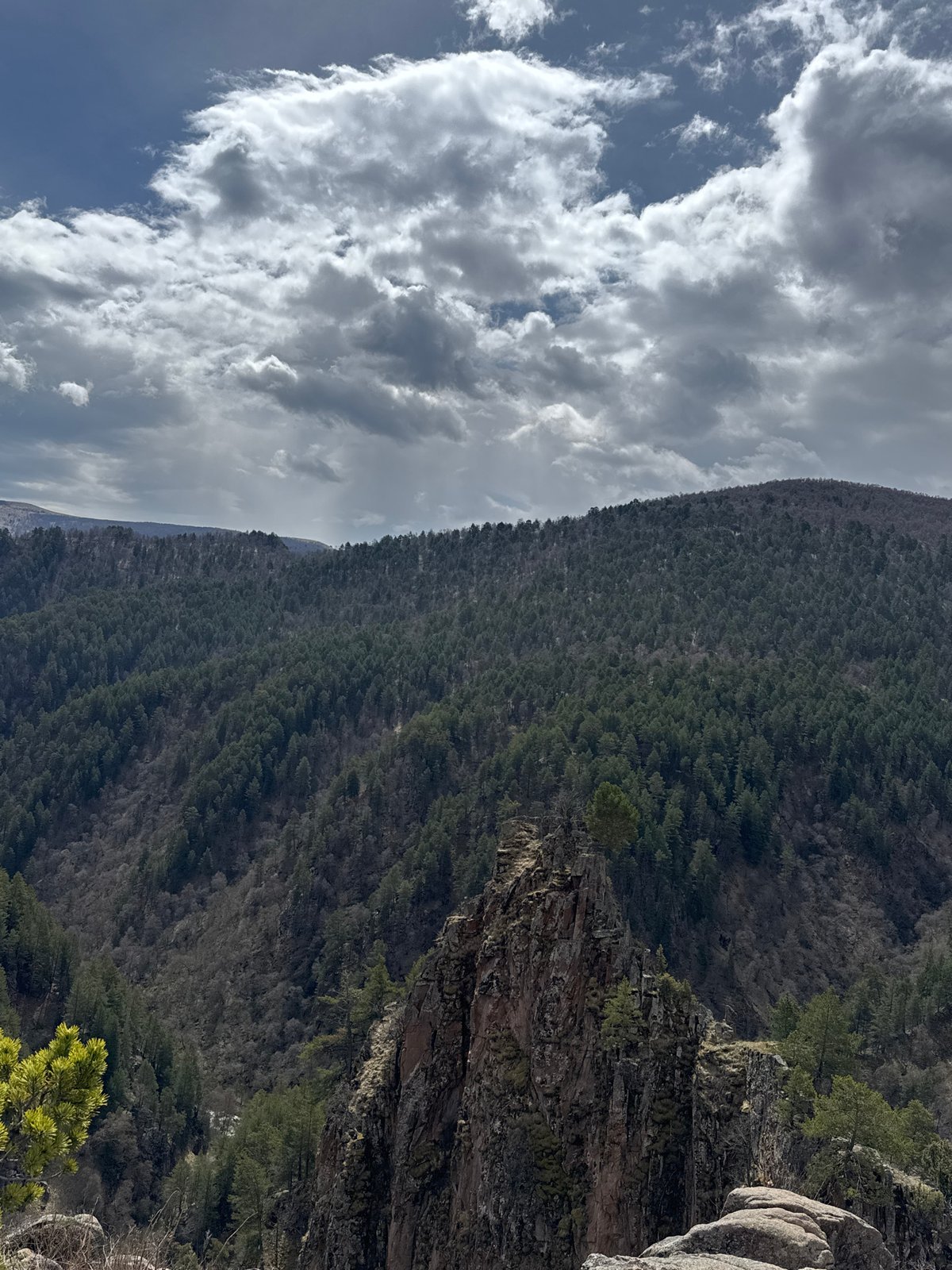 Forested mountain slope observed under cloudy skies in Russia