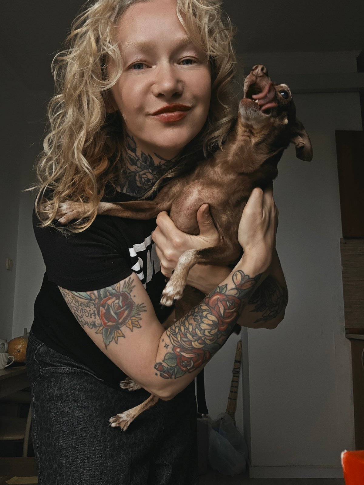 Close-up moments with a small chihuahua in Saint Petersburg